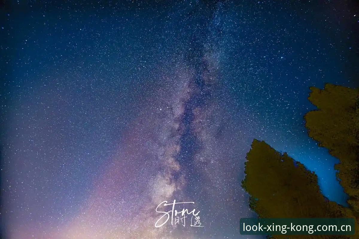 星空APP竞品评测 星空APP和同类产品到底差在哪?一个老用户的真实评测